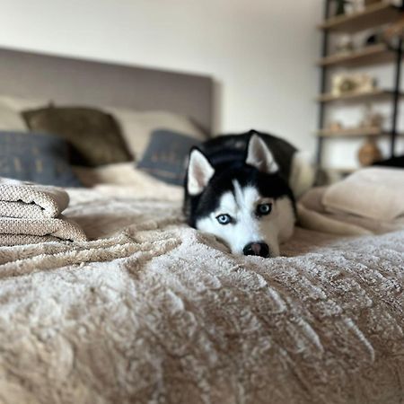 Apartman Freya Liptovský Mikuláš エクステリア 写真