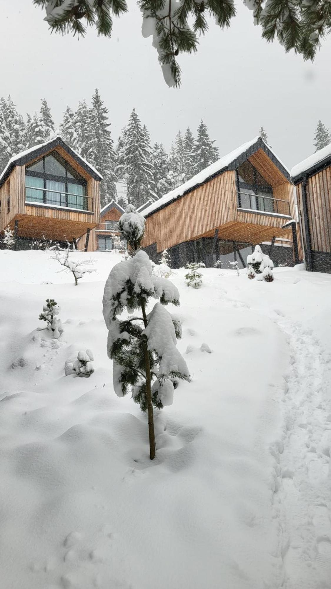 Apartman Freya Liptovský Mikuláš エクステリア 写真